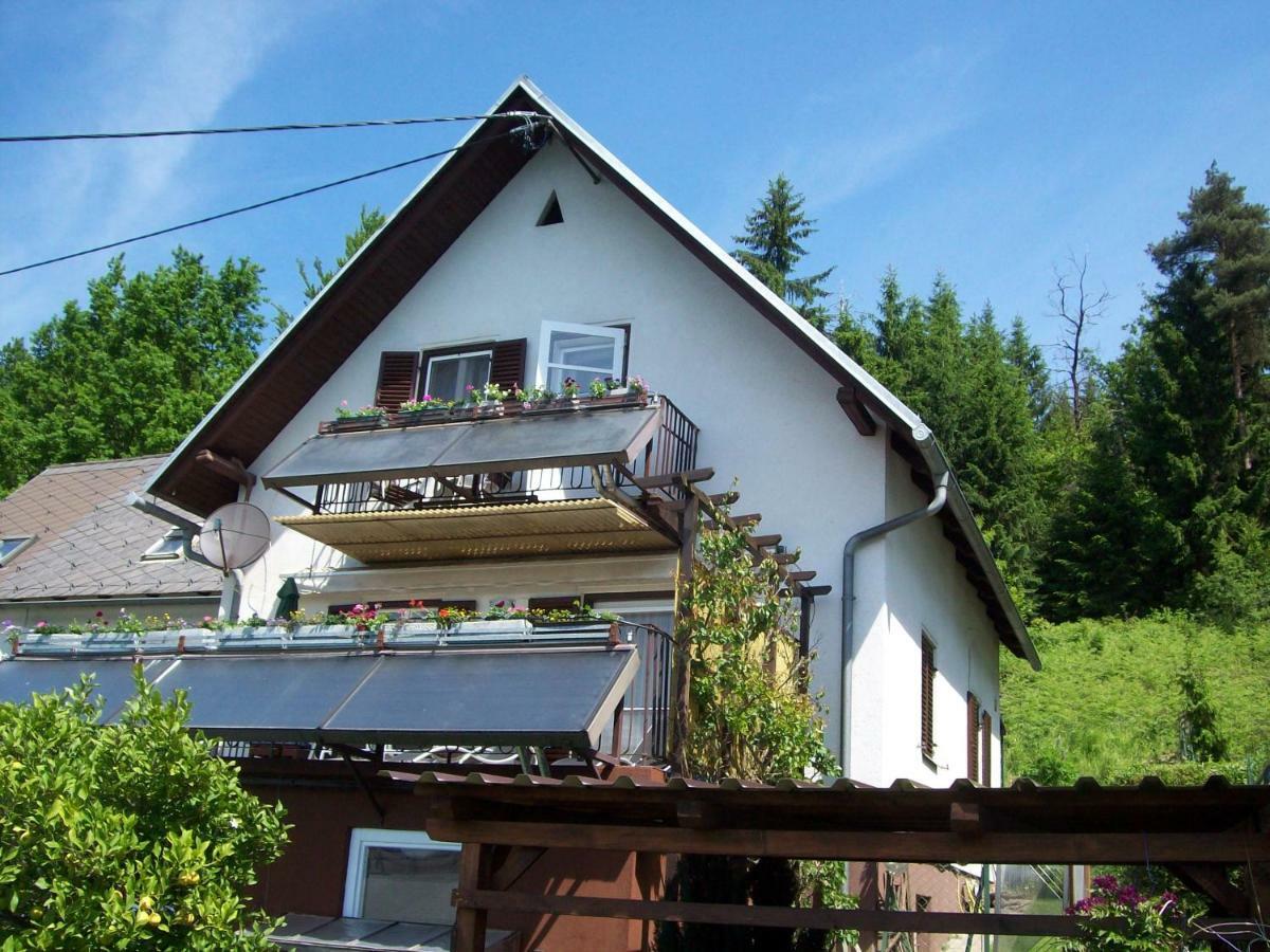 Riedl Gaestewohnung Klagenfurt am Woerthersee ภายนอก รูปภาพ